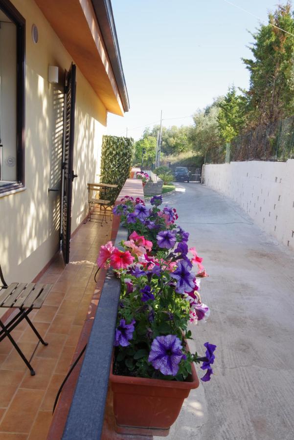 Balconcino Sugli Ulivi Bed & Breakfast Noto Exterior photo